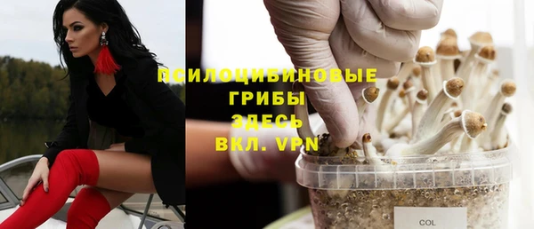 2c-b Ельня