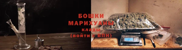 ПСИЛОЦИБИНОВЫЕ ГРИБЫ Елизово
