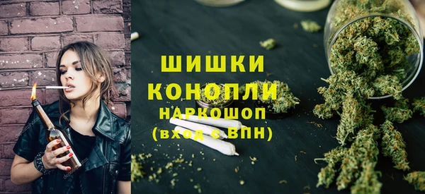 2c-b Ельня