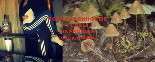 a pvp Елабуга