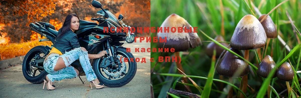 2c-b Ельня