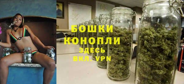 2c-b Ельня
