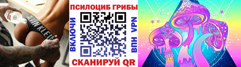 kraken рабочий сайт  купить   Злынка  это клад  Псилоцибиновые грибы GOLDEN TEACHER 
